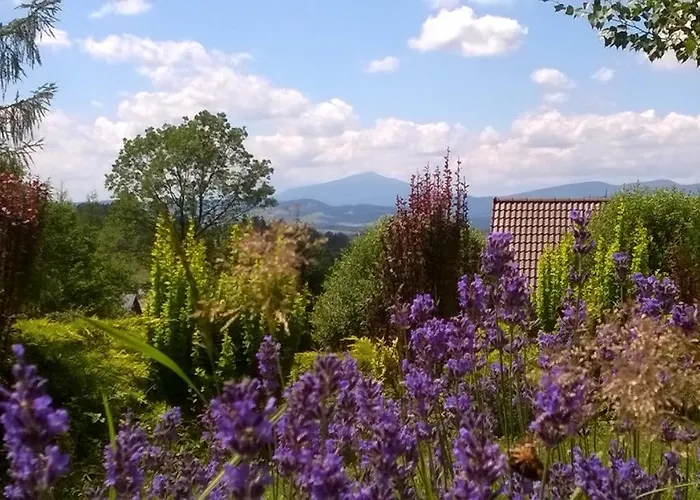 Appartement Gorczanska